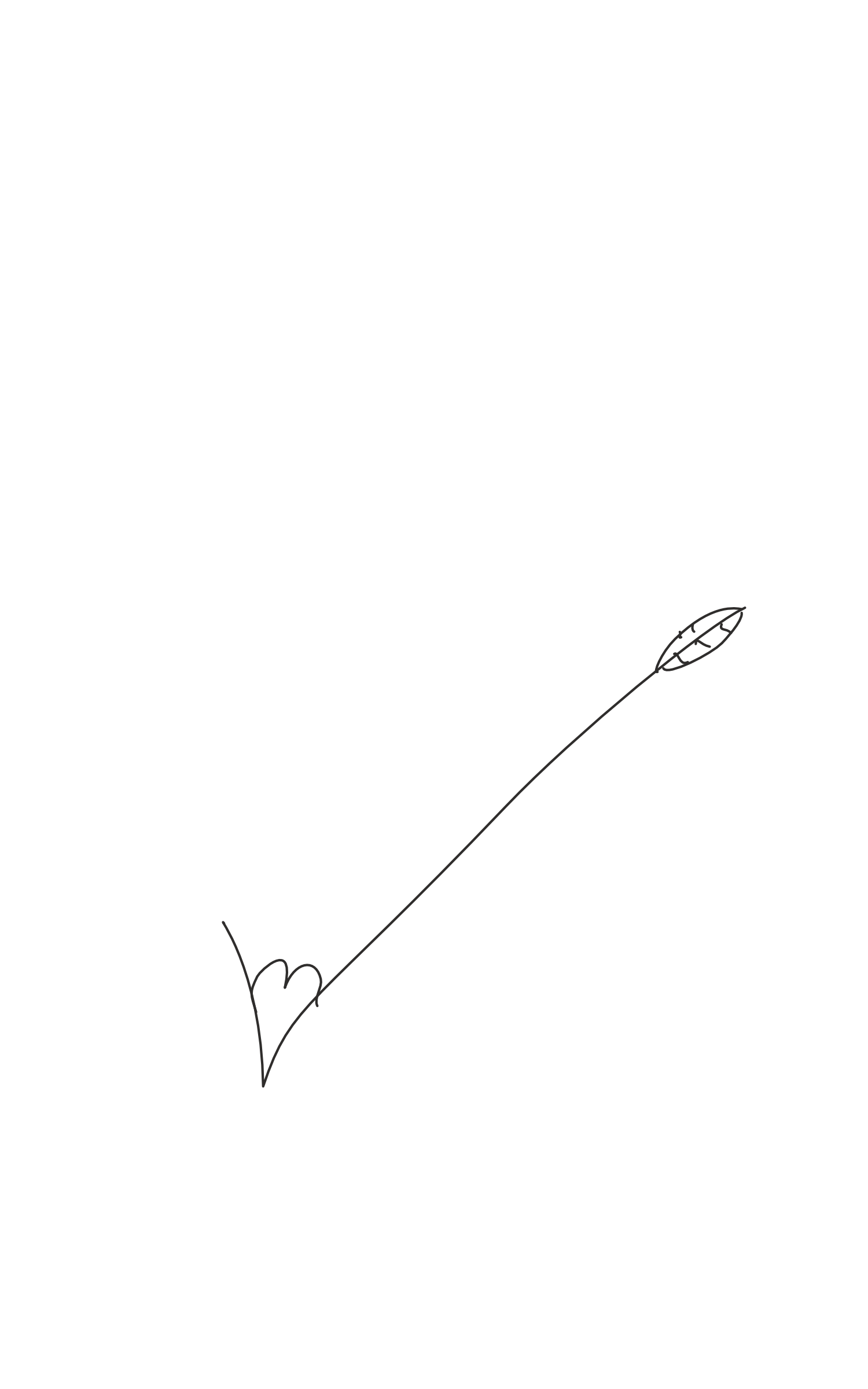 Direction illustration